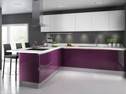 Cuisine Coloree Decouvrez Toutes Nos Inspirations Elle Decoration Interieur De Cuisine Cuisine Violette Cuisine Coloree