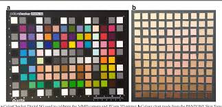 Colour Quality Of Facial Prostheses In Additive
