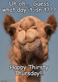 10 happy thursday inspirational quotes. 101 Funny Thursday Memes That Work Day And Night To Make You Happy