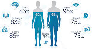What percentage does water constitute in your body? Is The Majority Of The Human Body Water Skeptics Stack Exchange