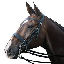 Fairfax Performance Double Bridle