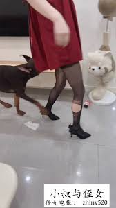 牛爷爷大战张小丽-一天内