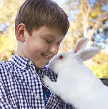 Year in Review — February