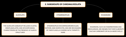 Lab 21 Assigment.Docx - Lab Assignment 21 1. The Kingdom Protista  Will/Might Be Wiped Out Entirely As We Discover More Information About  Protists. 2. | Course Hero