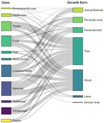 Image result for Physostigma mesoponticum