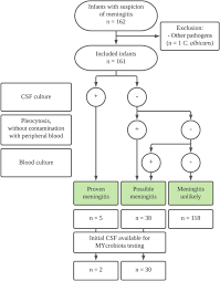 Image result for CSF Culture