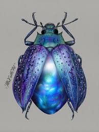 I Drew Beetles That Hide Colourful Minerals Underneath Their Shiny Wing Cases Beetle Art Insect Art Bug Art