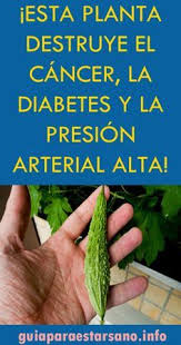 Plantas medicinales hipoglucemiantes by 2. 57 Ideas De Remedio Para La Diabetes En 2021 Remedio Para La Diabetes Diabetes Consejos Para La Salud