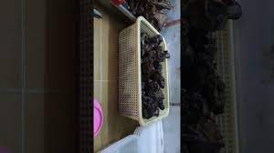Da 3466 zdj adalah pelat nomor asal kabupaten tanah bumbu. Nasi Bebek Powa Bumbu Siram Madura Youtube