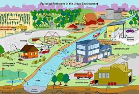 Pollution Pathways