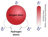 Maybe you would like to learn more about one of these? 15 1 Structure Of Water Chemistry Libretexts
