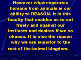 Run To The Rescue With Love And Peace Will Follow Lyrics This Is The Kantian View On The Moral Status Of Animals Vs Humans Human Animals Status
