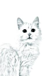 Turkish Van Cat Oval Gravestone From Ceramic Tile With An Image Of A Cat Details Can Be Found By Clicking On The Turkish Van Cats Kitty Images Cat Memorial