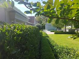 Pin On Garden
