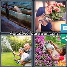 Maybe you would like to learn more about one of these? 4 Pics 1 Word Bonus Puzzle May 29 2021 4 Pics 1 Word Daily Puzzle Answers