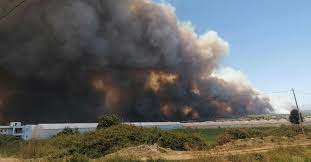 Antalya yangın tüpü dolumu, yangın firmaları, yangın söndürme, antalya davlumbaz söndürme, antalya fm200, antalya co2 antalya davlumbaz söndürme sistemi. Mkgtva5hnyinom