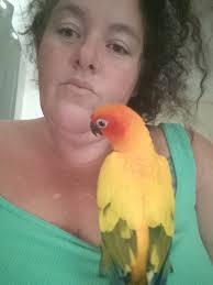 Missing from Fairfield Screenshot only, Contact OP