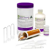 Symptoms usually begin 6 hours to 6 days after infection and last 4 to 7 days. Rapidchek Select Salmonella Enteritidis System