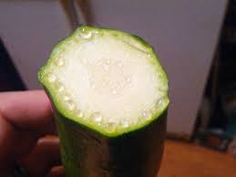Edit i tried wiping the gel off with a paper towel; Why Is My Zucchini Oozing Askculinary