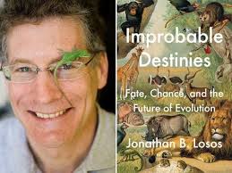 IAE Seminar Series: David Buchwalter