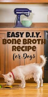 Check spelling or type a new query. Easy Diy Bone Broth Recipe Your Dog Is Begging For The Dogington Post