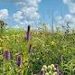 Prairie Color Hike
