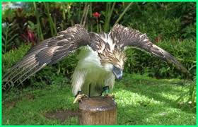 25 mewarnai gambar sketsa flora dan fauna terindah. 73 Gambar Flora Dan Fauna Negara Myanmar Paling Bagus Gambar Pixabay