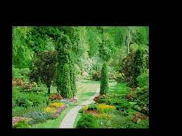 Singing garden, syracuse, new york. In The Garden By Elvis Presley Songfacts