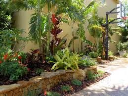 Pin On Tropical Gardens