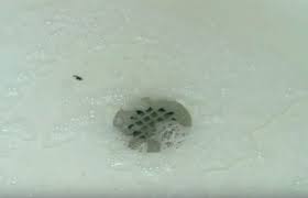Got A Clogged Shower Drain This Natural Solution Will Unclog It For You In A Jiffy Shower Drain Unclog Shower Drains Bathtub Drain