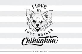 Who doesn't love adding more svg files to their library, especially when they come with free commercial licenses?! Free I Love My Long Haired Chihuahua Svg File Crafter File