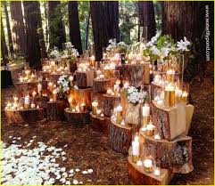 Wow Low Budget Wedding Ideas Exposed Woodland Wedding Decorations Budget Friendly Wedding Enchanted Forest Wedding