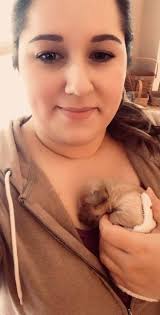 New west highland white terrier arrival