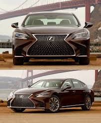 Image result for Autumn Shimmer 2019 LC