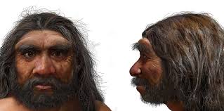 Is Homo longi an Extinct Human Species?