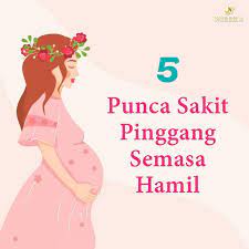 Sakit pinggang adalah keluhan yang cukup umum dan rentan dialami oleh orang yang berusia 30 tahun ke atas. Makin Besar Kandungan Makin Kerap Rasa Sakit Belakang Dan Sakit Pinggang Nurrifa