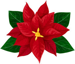 Poinsettia Transparent Clip Art Image In 2020 Ornaments Image Christmas Tree Clipart Christmas Graphics