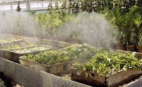 Some benefits of humidifying a green house are: A Quick Guide To Greenhouse Misting Systems Greenhouse Info