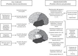 El juego fifa 13 para nintendo wii disponible para descargar datos técnicos nombre: Los Videojuegos Una Aficion Con Implicaciones Neuropsiquiatricas Sciencedirect