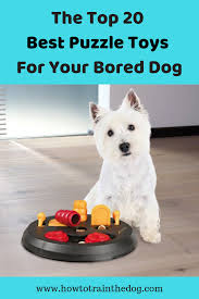 Check spelling or type a new query. The Top 20 Best Puzzle Toys For Your Bored Dog Dog Puzzle Toys Bored Dog Interactive Dog Toys Puzzles