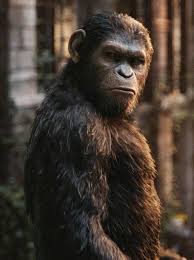 130 ØµÙØ±Ø§ÙÙØ±Ø¯Ø³ÙØ²Ø± Ideas Planet Of The Apes Dawn Of The Planet Apes We hope you enjoy our growing collection of hd images to use as a background or home screen for your please contact us if you want to publish a planet of the apes wallpaper on our site. planet of the apes