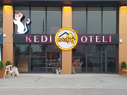 Evcilim Kedi Oteli Pet Service Bursa Facebook 562 Photos