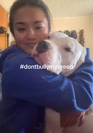 Pit Bull Owner Remanded in Custody