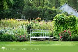 Most cuttings are taken from the tip of a shoot or from lateral shoots. Procrastinating About Planning My Cutting Garden