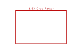 Digital Camera Sensor Sizes How It Influences Your Photography