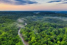 Mar 27, 2019 · orangehd stock offers hundreds of full hd and hd footages and videos. 3 000 Best Amazon Rainforest Photos 100 Free Download Pexels Stock Photos