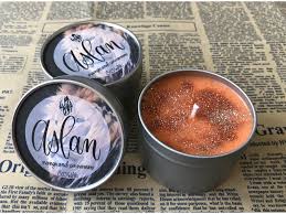 Ty lev aslan přenese do narnie, kde mají oba hrdinové za úkol najít ztraceného prince riliana, syna krále. Aslan Letopisy Narnie Neni To Zadny Ochoceny Lvicek Abyss Candle