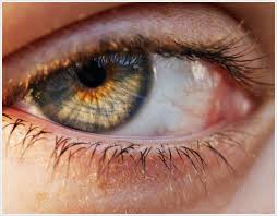 Let The Sunlight Shine From Within Eye Close Up Eye Pictures Eyes