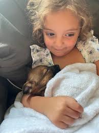 HEY YOU... COME CHECK OUT MY BABY GIRL!!!!! Half Shnausher/Chihuahua 6 week  old little girl Location is between Clinton NC and Dunn NC No rehoming fee  but will make sure she goes