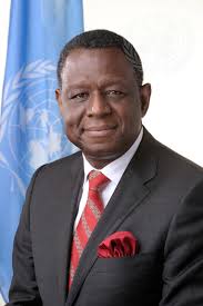 Executive Heads of UN Funds and Programmes Participate in ECOSOC Dialogue